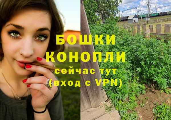 spice Алексеевка