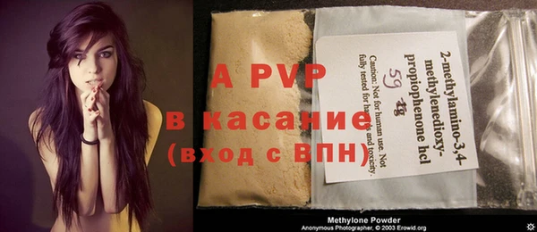 гидра Алексин