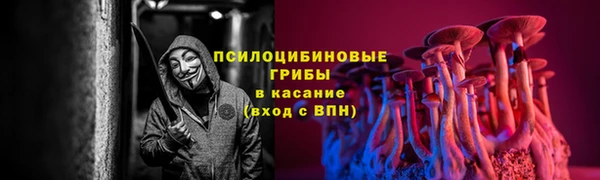 гидра Алексин