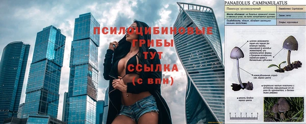 твердый Покров