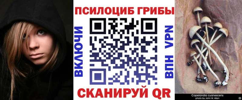 Галлюциногенные грибы прущие грибы  дарнет шоп  Бирск 